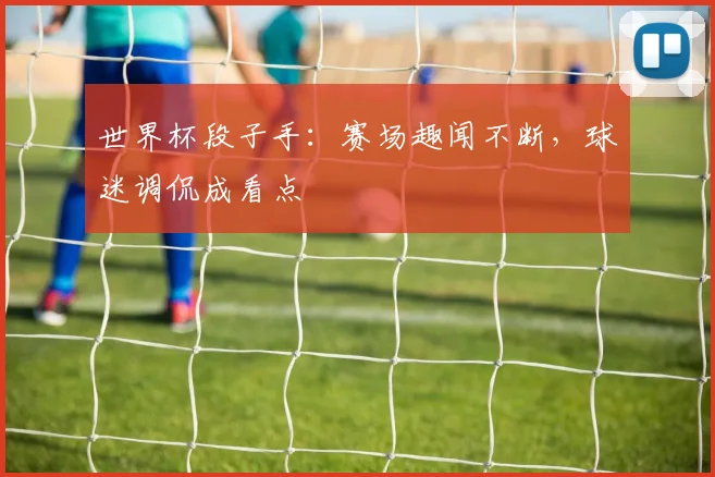 世界杯段子手：赛场趣闻不断，球迷调侃成看点