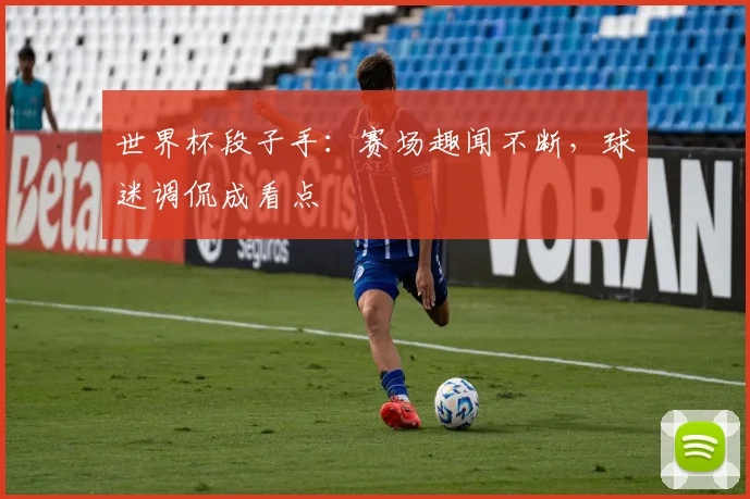 世界杯段子手：赛场趣闻不断，球迷调侃成看点