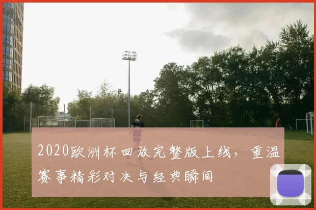 2020欧洲杯回放完整版上线,重温赛事精彩对决与经典瞬间