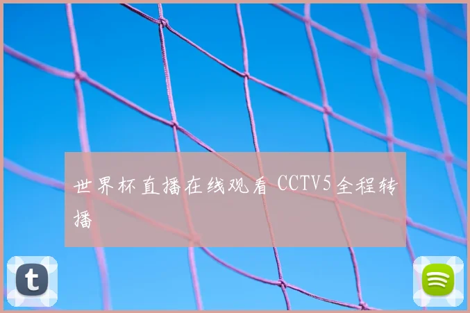 世界杯直播在线观看 CCTV5全程转播