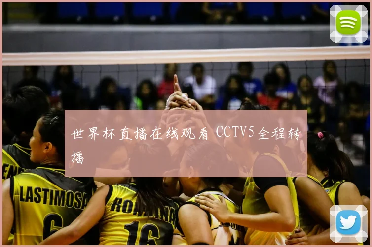 世界杯直播在线观看 CCTV5全程转播
