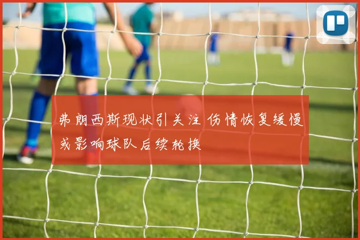 弗朗西斯现状引关注 伤情恢复缓慢或影响球队后续轮换