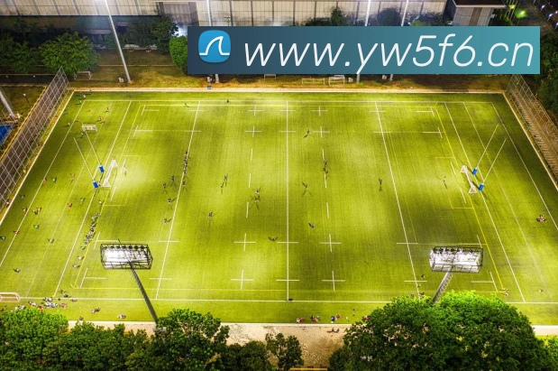 易倍emc官网网页版平台生态图